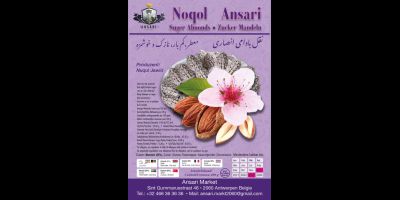 Ansari-Noqol